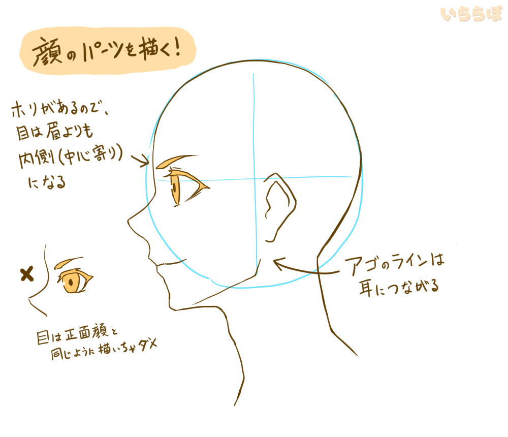 【顔の描き方】初心者向けに基本的な顔の描き方を解説！上手に描くコツも紹介【イラスト】